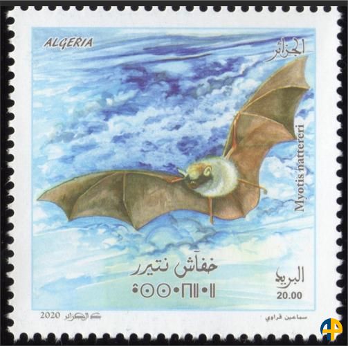 Émission de timbres sur les oiseaux : Une nouvelle classification pour la chauve-souris