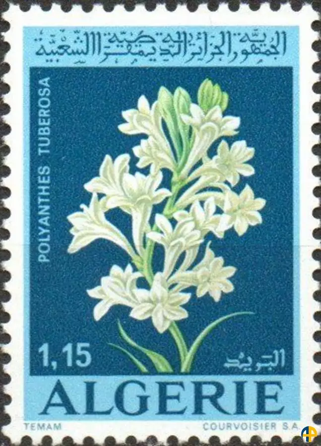 الطابع رقم 553