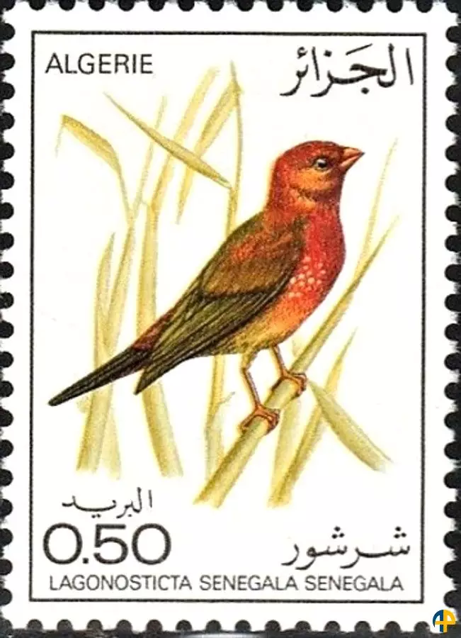 الطابع رقم 635