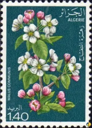 Fleurs d'Arbres