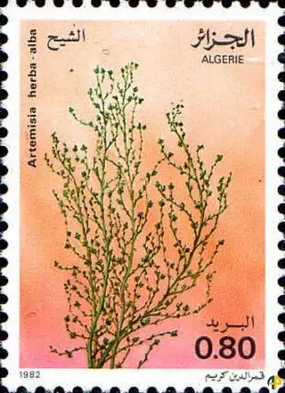 Flore - Plantes Médicinales