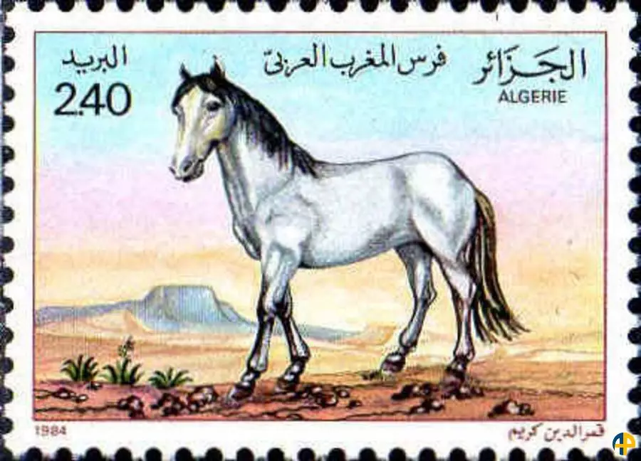 الطابع رقم 814