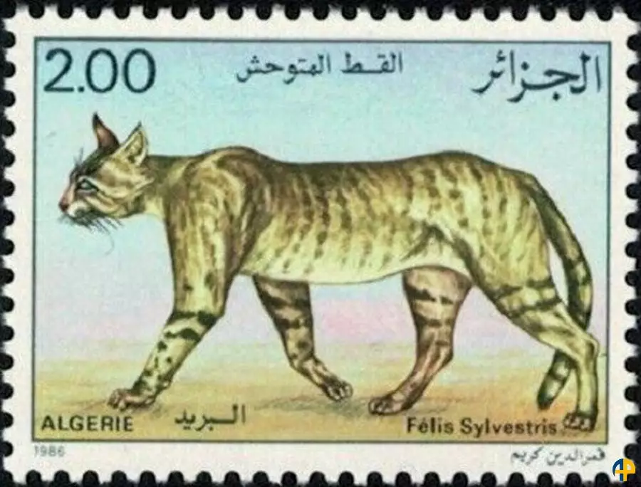 الطابع رقم 860