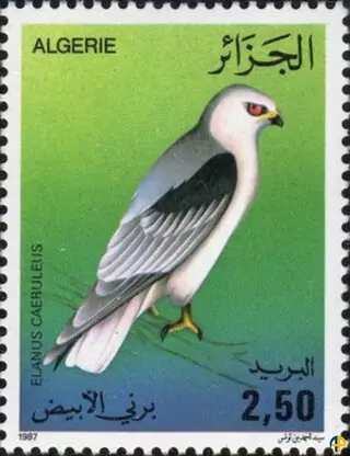 الحياة البرية - الطيور