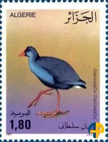 الطابع رقم 906