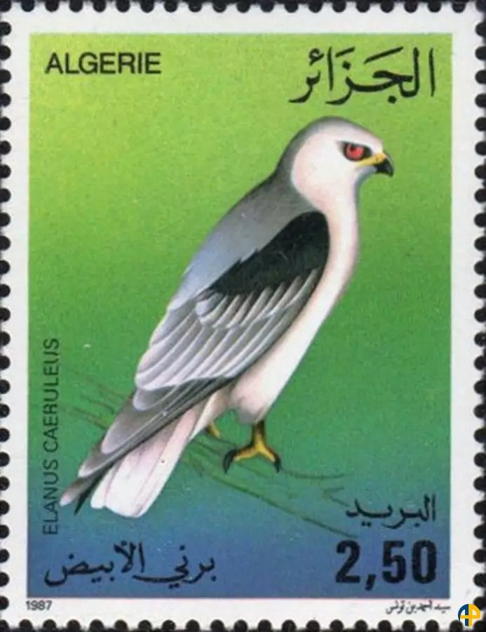 الطابع رقم 907