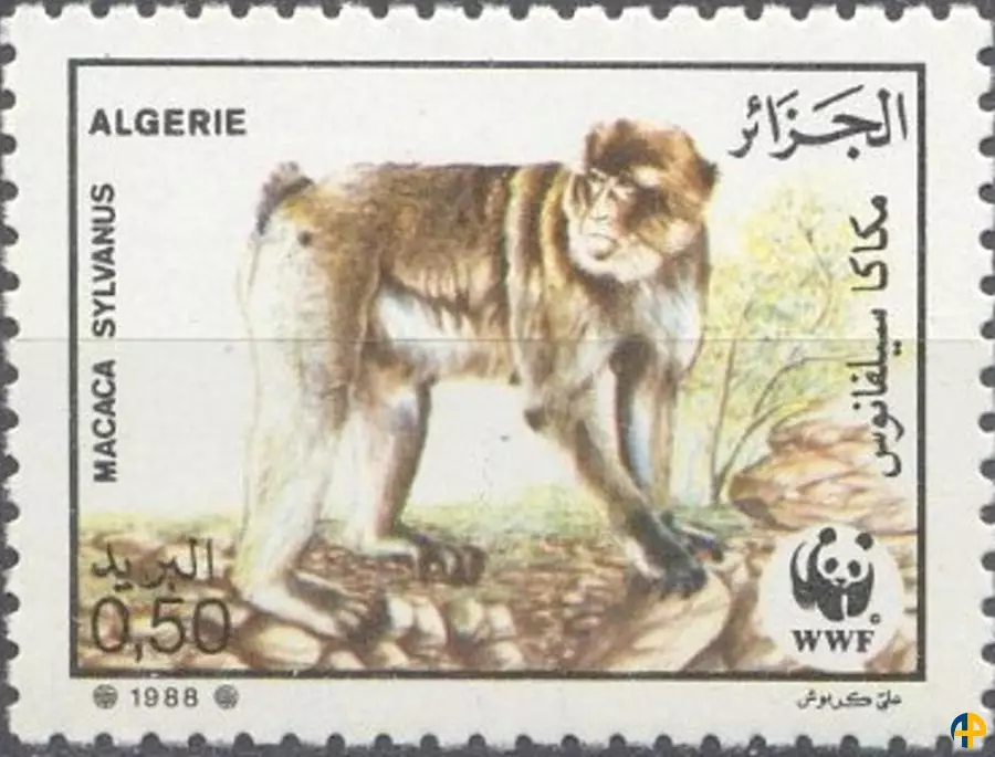 الطابع رقم 928