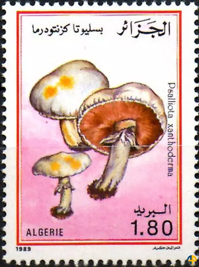 الطابع رقم 967