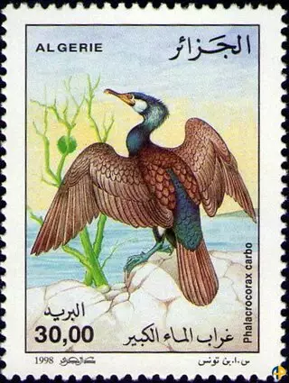 الطابع رقم 1182