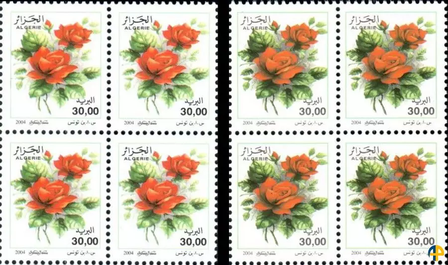 Variété claire et foncé 