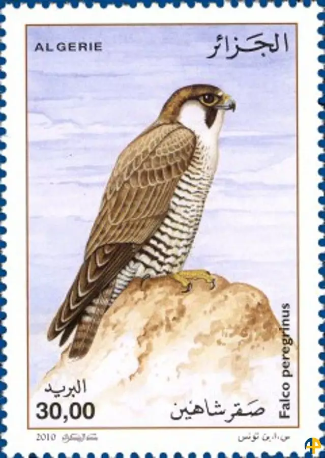 الطابع رقم 1557