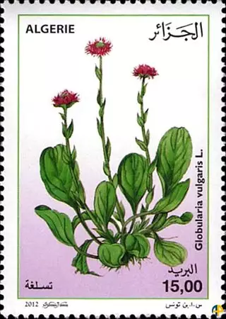 Plantes Médicinales