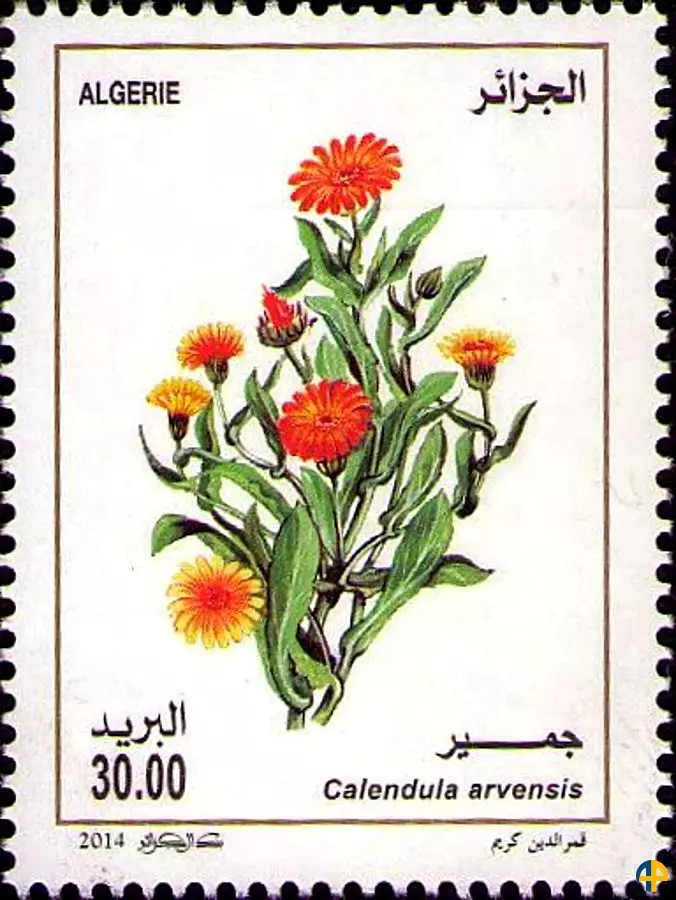 الطابع رقم 1675