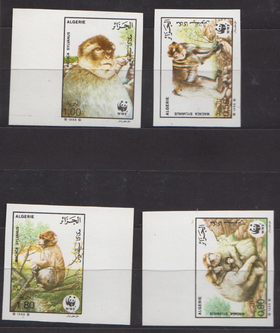 1988 Emission n° 07 - Non dentelé Faune protégée (WWF) - Le magot (Macaca sylvanus)