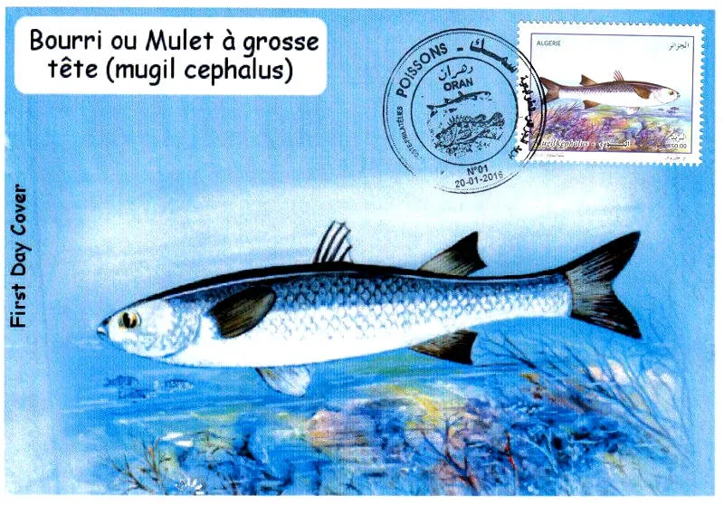 2016 Emission n° 01 - Enveloppe 1er jour Faune marine - Poissons 2016 Emission n° 01 - Enveloppe 1er jour Faune marine - Poissons