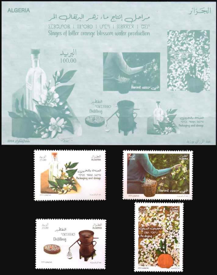 2024 Emission n° 15 - Les étapes de production d'eau de fleur d'oranger amer