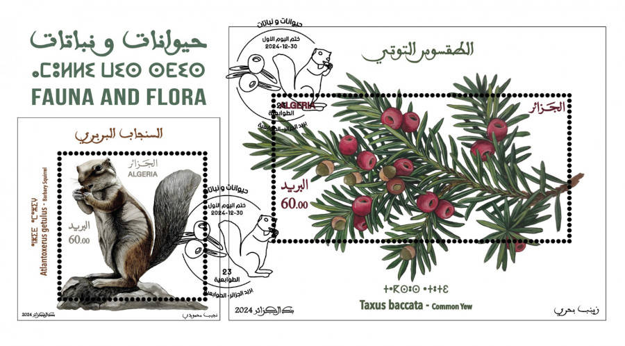 2024 Emission n° 23 - Enveloppe 1er jour Faune et Flore - L'écureil de barbarie (Atlantoxerus getulus ) et L'If Commun (Taxus Baccata)
