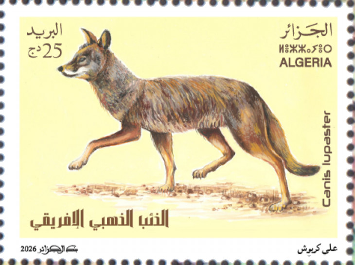 2026 Emission n° 03 - Faune Canis lupaster Loup africain ou Loup doré africain