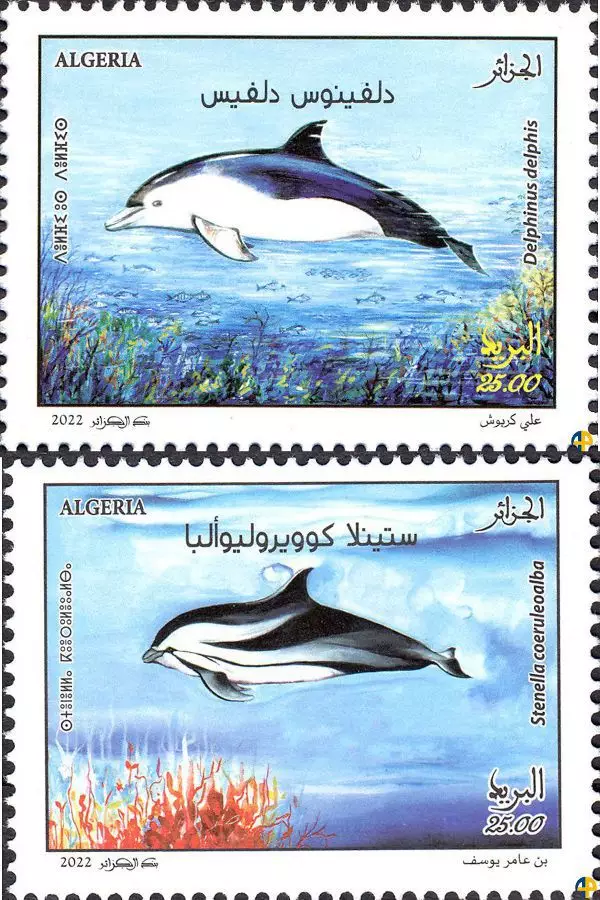2022 Emission n° 16 - Mammifères marins - Les dauphins